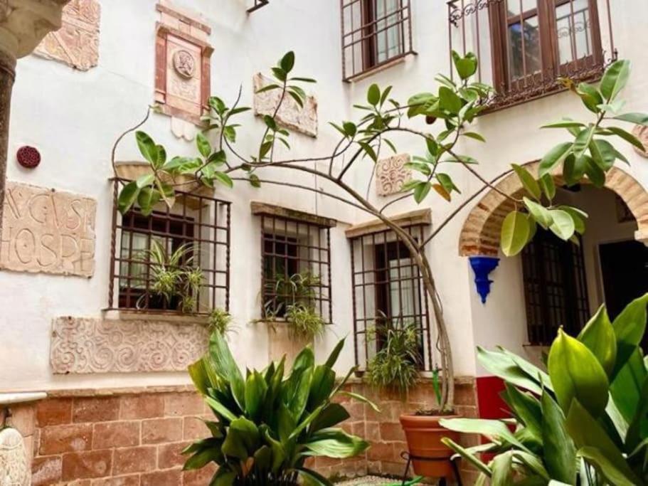 Buhardilla De Wallada Cordoba Exterior photo