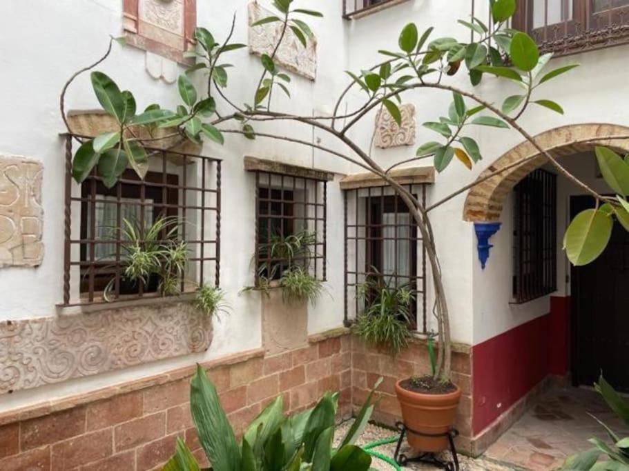 Buhardilla De Wallada Cordoba Exterior photo